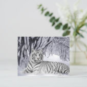White Tiger Postkarte (Stehend Vorderseite)
