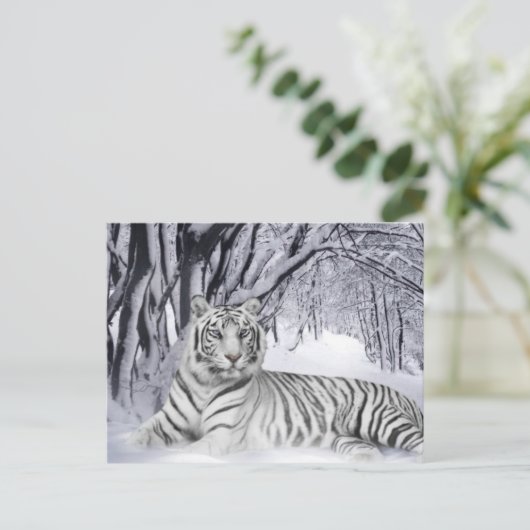 White Tiger Postkarte (Stehend Vorderseite)
