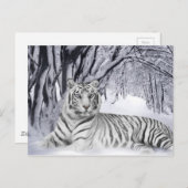 White Tiger Postkarte (Vorne/Hinten)
