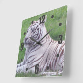 White Tiger Quadratische Wanduhr (Winkel)