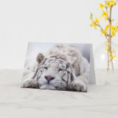 WHITE TIGER RELAXING BIRTHDAY CARD KARTE (Gelbe Blume)