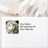 White Tiger Return Labels (Insitu)
