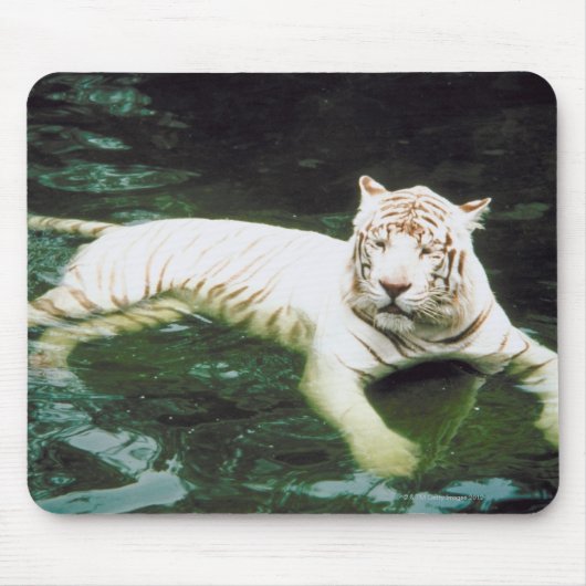 White Tiger Schwimmen friedlich Mousepad (Vorne)
