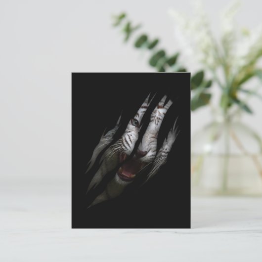 White Tiger Torn Claw Wild Safari Tierkatze Postkarte (Stehend Vorderseite)