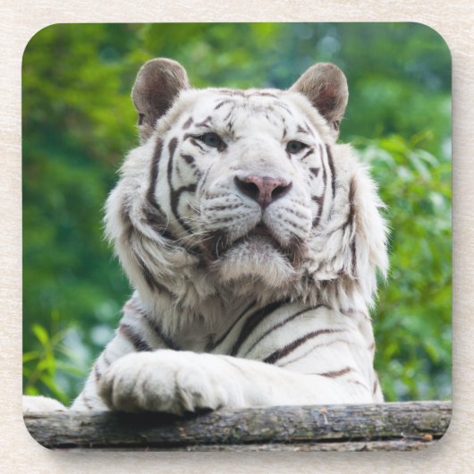 White Tiger Untersetzer (Vorderseite)