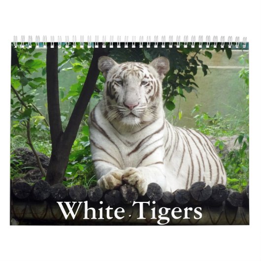 White Tigers Calendar Kalender (Titelbild)