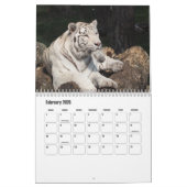 White Tigers Calendar Kalender (Feb 2026)