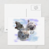 White Tigers Postkarte (Vorne/Hinten)