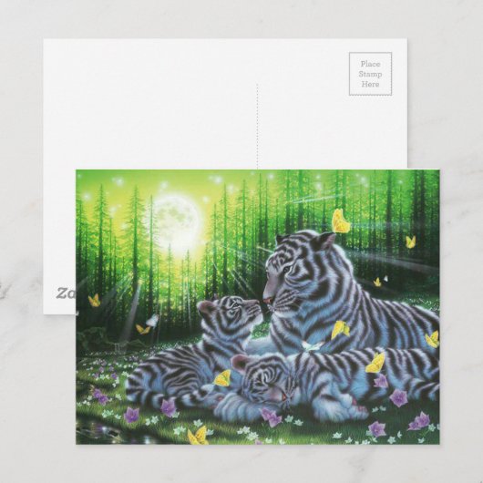 White Tigers Postkarte (Vorne/Hinten)