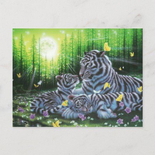 White Tigers Postkarte (Vorderseite)