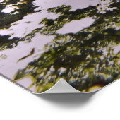 White Tip Reef Shark Pile Poster (Ecke)