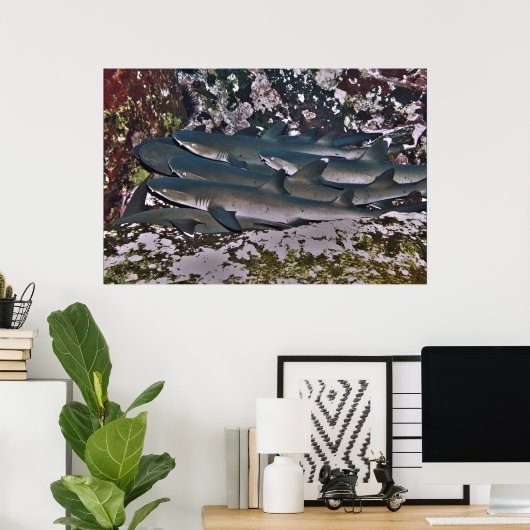 White Tip Reef Shark Pile Poster (Heimbüro)