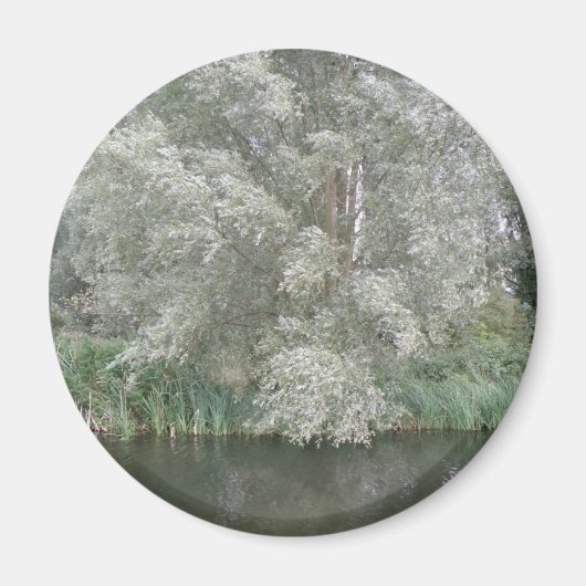 White Tree and River Landscape Magnet (Vorne)