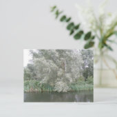 White Tree and River Landscape Postcard Postkarte (Stehend Vorderseite)