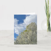 White Tree Blue Sky Clouds Photo (Vorderseite)