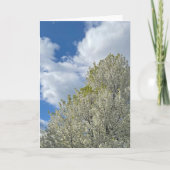 White Tree Blue Sky Clouds Photo Karte (Vorderseite)