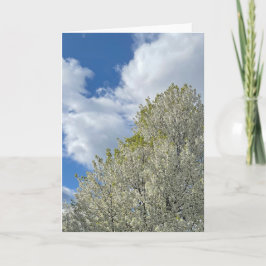 White Tree Blue Sky Clouds Photo Karte