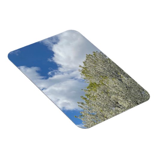 White Tree Blue Sky Clouds Photo Magnet (Rechte Seite)