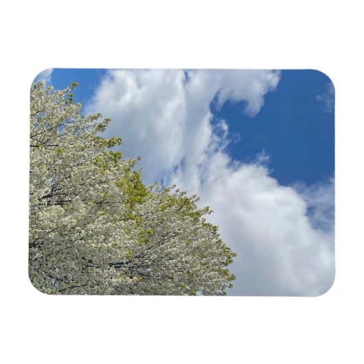 White Tree Blue Sky Clouds Photo Magnet (Horizontal)