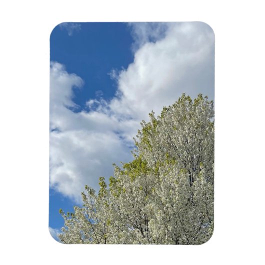 White Tree Blue Sky Clouds Photo Magnet (Vertikal)