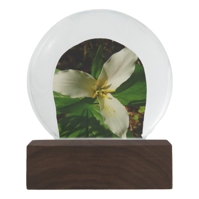White Trillium Blume Schneekugel (Vorderseite)