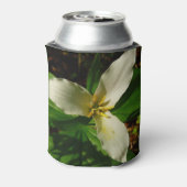 White Trillium Blume Spring Wildblume Dosenkühler (Kanne Rückseite)