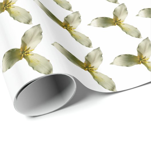 White Trillium Blume Spring Wildblume Geschenkpapier (Rolleneckpunkt)