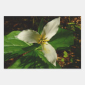White Trillium Blume Spring Wildblume Geschenkpapier Set (Vorderseite 2)