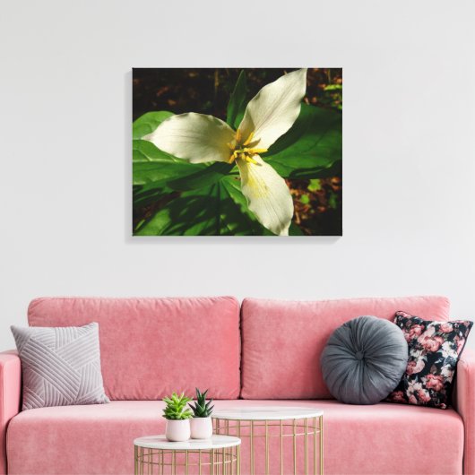 White Trillium Blume Spring Wildblume Leinwanddruck (Insitu (Wohnzimmer))