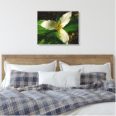 White Trillium Blume Spring Wildblume Leinwanddruck (Insitu (Schlafzimmer))