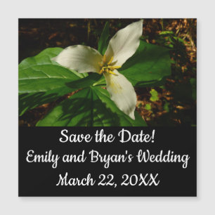 White Trillium Blume Spring Wildblume Magnetkarte