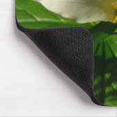 White Trillium Blume Spring Wildblume Mousepad (Ecke)