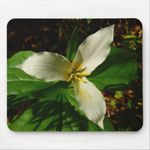 White Trillium Blume Spring Wildblume Mousepad