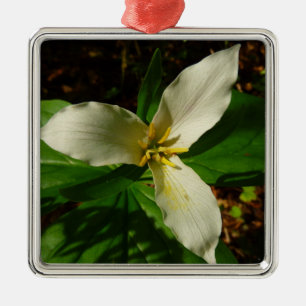 White Trillium Blume Spring Wildblume Ornament Aus Metall