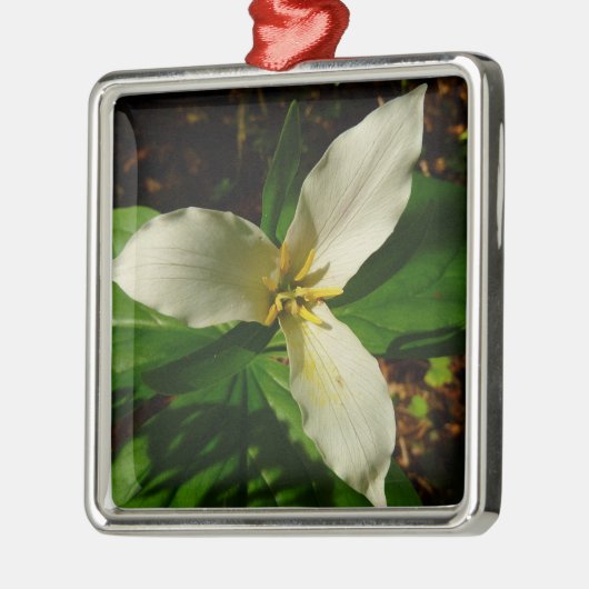 White Trillium Blume Spring Wildblume Ornament Aus Metall (Links)