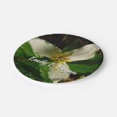 White Trillium Blume Spring Wildblume Pappteller (Schrägansicht)