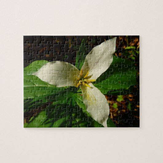 White Trillium Blume Spring Wildblume Puzzle (Horizontal)
