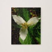 White Trillium Blume Spring Wildblume Puzzle (Vertikal)