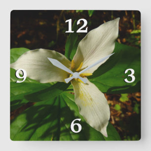 White Trillium Blume Spring Wildblume Quadratische Wanduhr