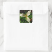 White Trillium Blume Spring Wildblume Quadratischer Aufkleber (Tasche)