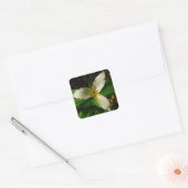 White Trillium Blume Spring Wildblume Quadratischer Aufkleber (Umschlag)