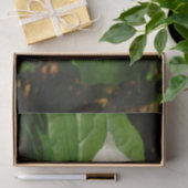 White Trillium Blume Spring Wildblume Seidenpapier (Geschenk)