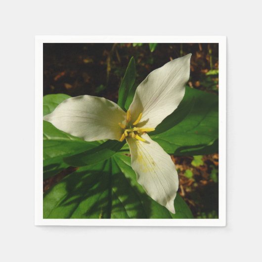 White Trillium Blume Spring Wildblume Serviette (Vorderseite)