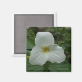 White Trillium Magnet (Vorderseite/Rückseite)