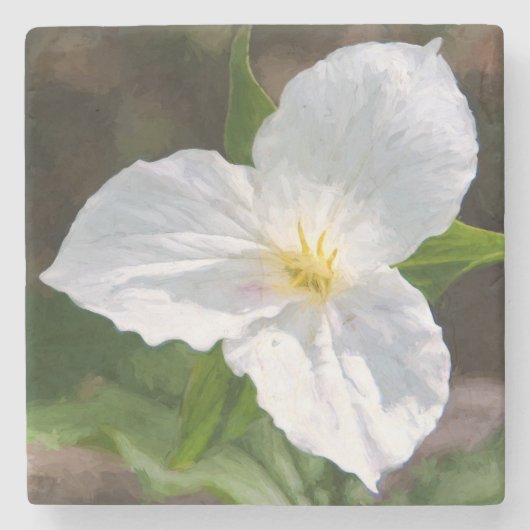 White Trillium Steinuntersetzer (Vorderseite)