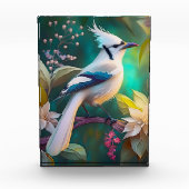 White Tufed Aquamarin Wing Jay Fantasy Bird Fotoblock (Vorderseite)