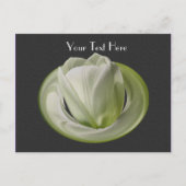 White Tulip Black Floral Anpassbare Postkarte (Vorderseite)