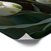White Tulips Blume Art Print Poster (Ecke)