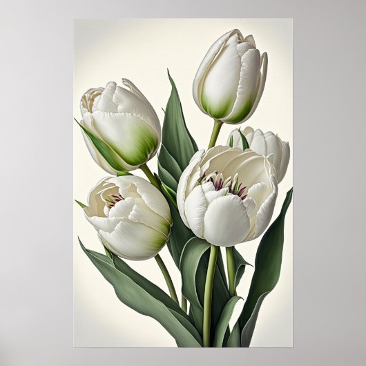 White Tulips Blume Art Print Poster (Vorne)