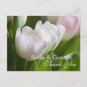 White Tulips - Danke Postcard Postkarte